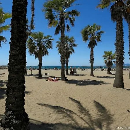 Zeus Alexis Plus Salou Exterior photo